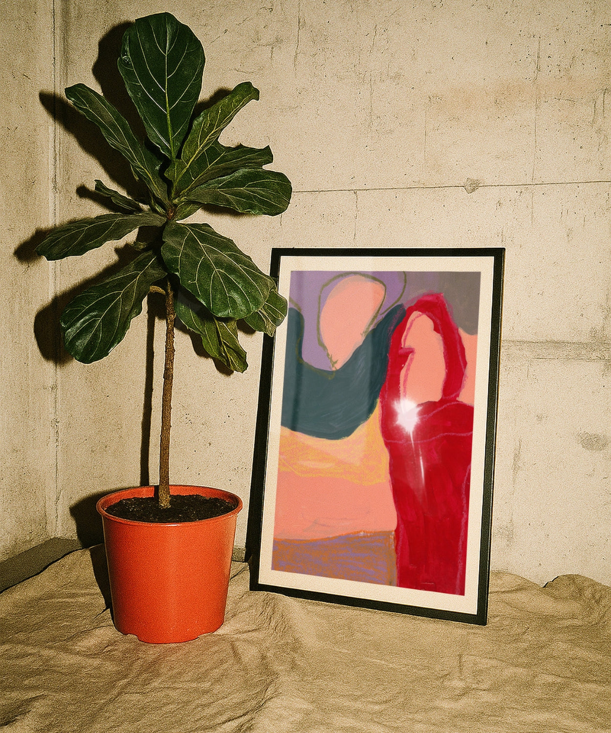 Muse No. 1 (Limited Edition)